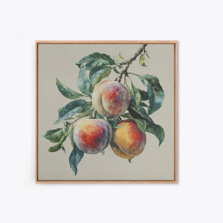 Still Life of Peaches Canvas Print, Impressionist Art, Textured Wall Art, Living Room Decor, Impression, Landscape Painting, IMP-1x1-23