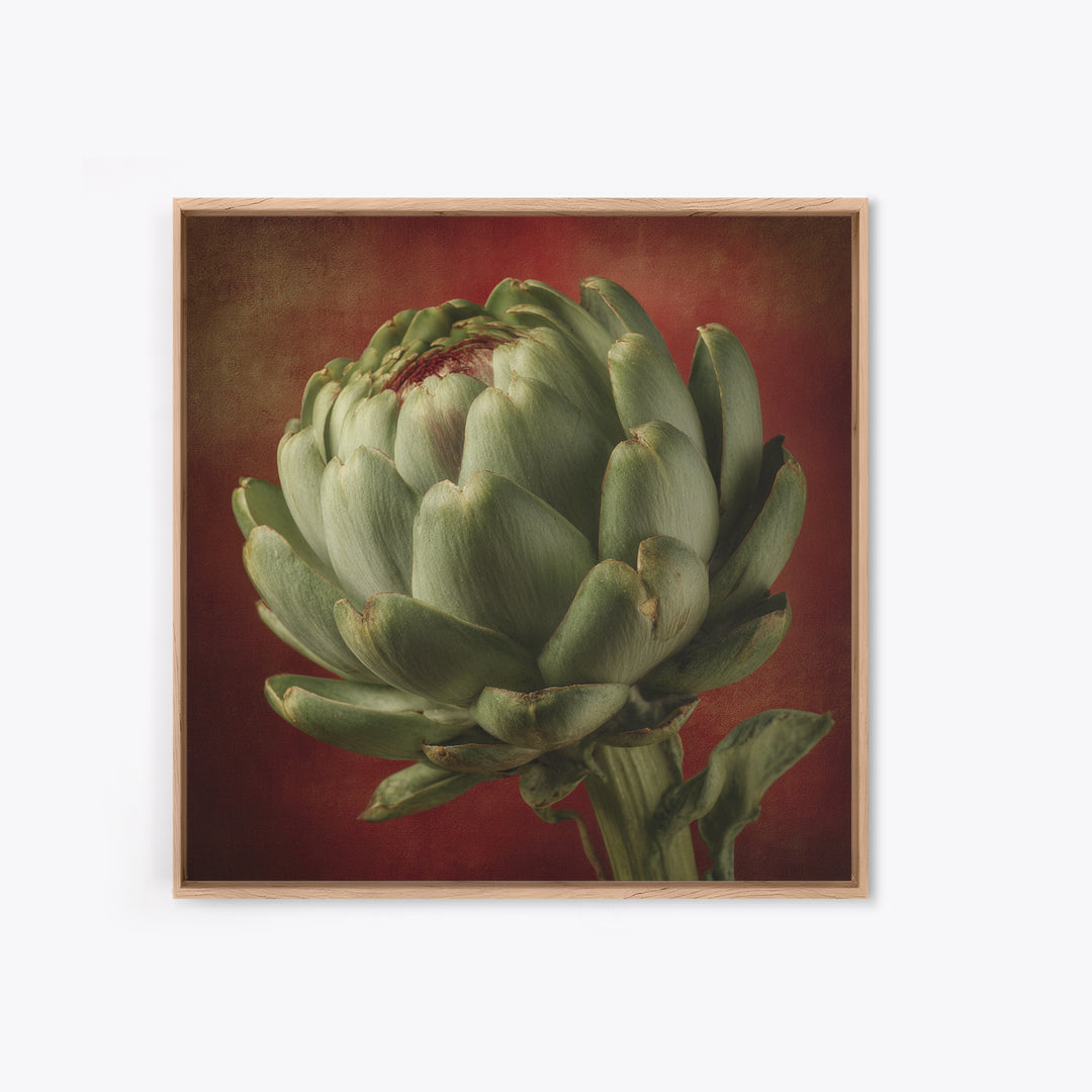 Artichoke Closeup in Painterly Green Tones Canvas Print, Kitchen Art, Prints, Kitchen Decor, Kitchen, Kitchen Wall Decor, KIT-1x1-20