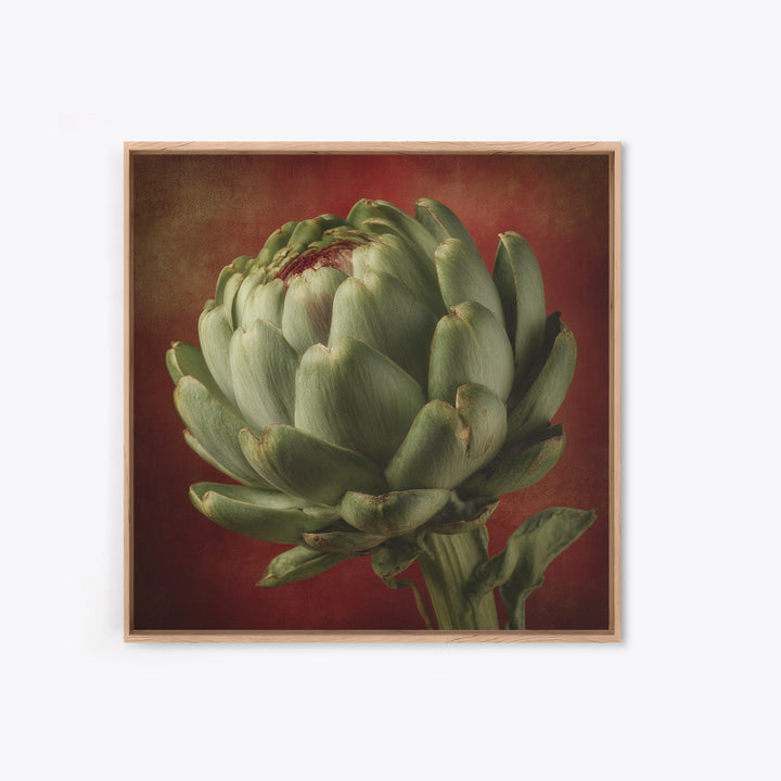 Artichoke Closeup in Painterly Green Tones Canvas Print, Kitchen Art, Prints, Kitchen Decor, Kitchen, Kitchen Wall Decor, KIT-1x1-20