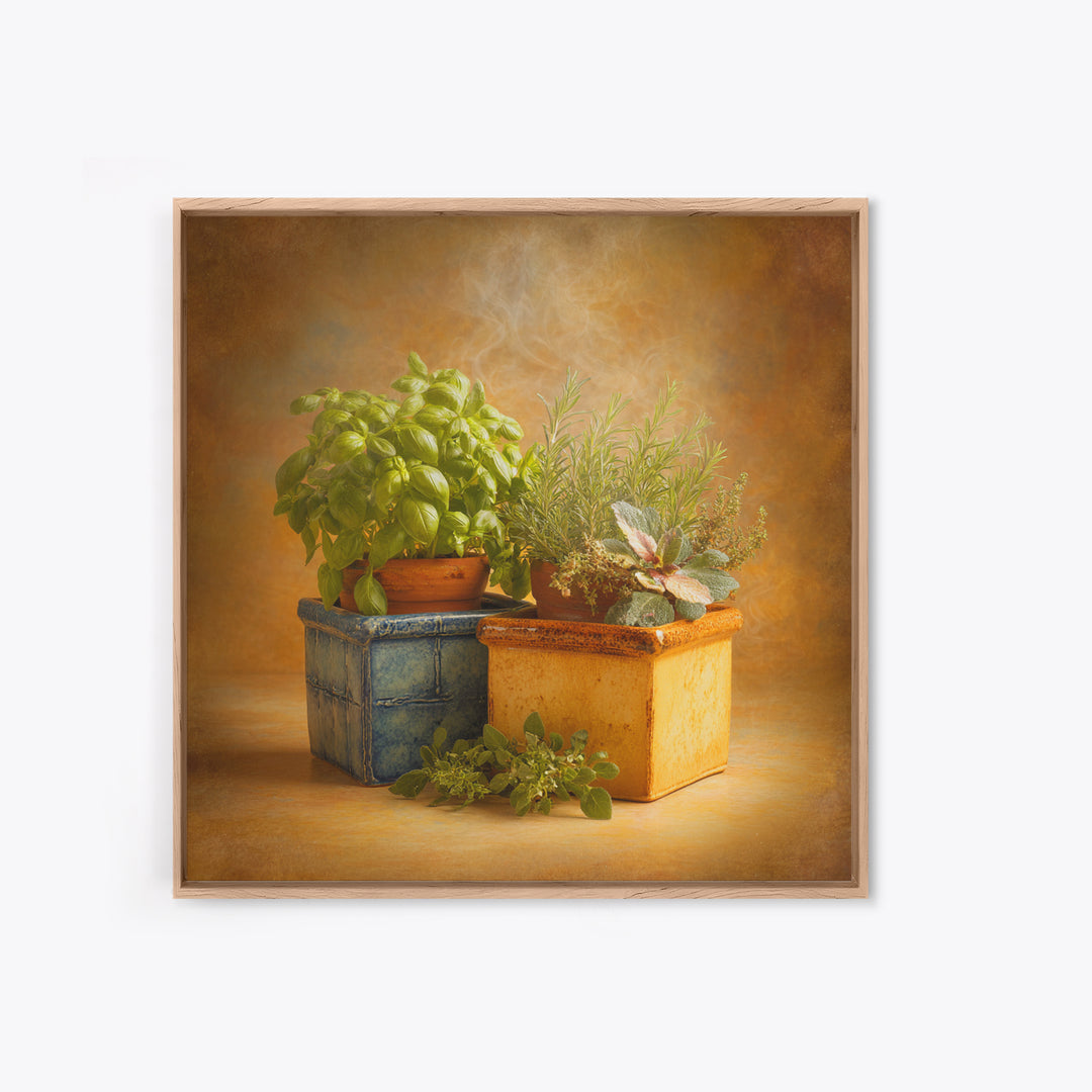 Fresh Herbs in Terracotta Pots Canvas Print, Kitchen Art, Wall Art, Kitchen Decor, Oil Painting, Kitchen, Kitchen Wall Art, KIT-1x1-97
