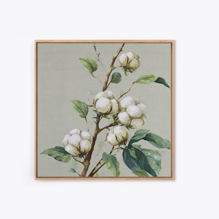 Fresh Cotton Branch Botanical Study Framed Canvas Print, Laundry Room Art, Fine Art Print, Living Room Decor, Fine Art, Clean, LRA-1x1-79