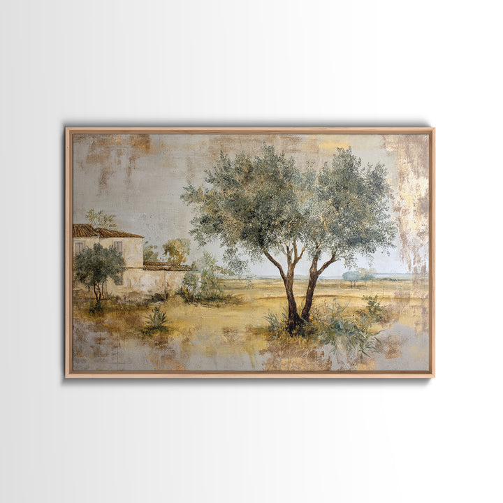 Olive Grove under Pale Morning Light Framed Canvas Print, Mediterranean Art, Nautical Decor, Living Room Decor, Fine Art, Azure, MAR-3x2-69