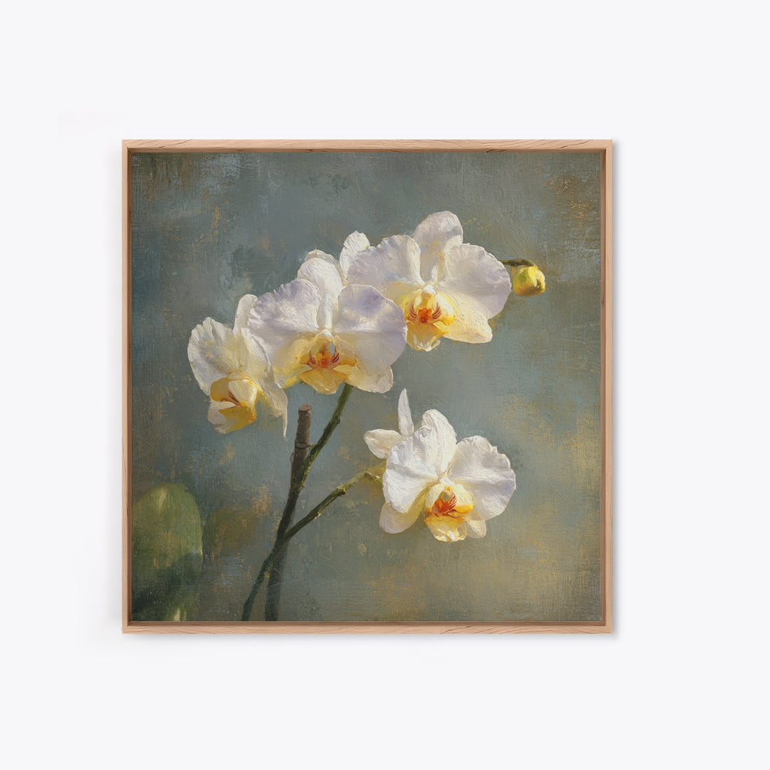 White Orchids Against Warm Gray Background Framed Canvas Print, Master Bedroom, Bedroom Decor, Abstract Art, Sanctuary, MAS-1x1-33