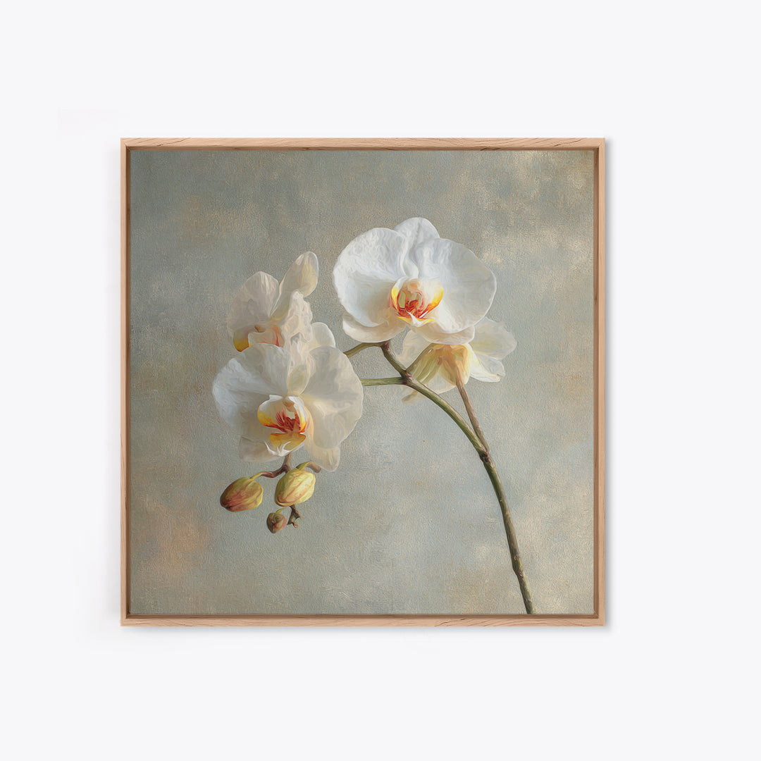 White Orchids Against Warm Gray Background Canvas Print, Master Bedroom, Art Print, Bedroom Decor, Fine Art, Sanctuary, MAS-1x1-81