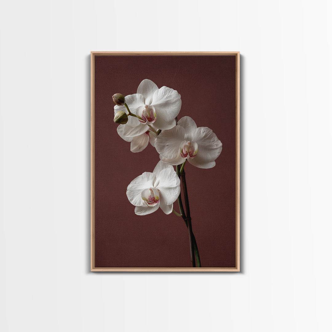 White Orchids Against Warm Gray Background Framed Canvas Print, Master Bedroom, Canvas Print, Bedroom Decor, Abstract Art, MAS-2x3-17