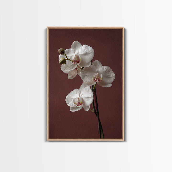 White Orchids Against Warm Gray Background Framed Canvas Print, Master Bedroom, Canvas Print, Bedroom Decor, Abstract Art, MAS-2x3-17