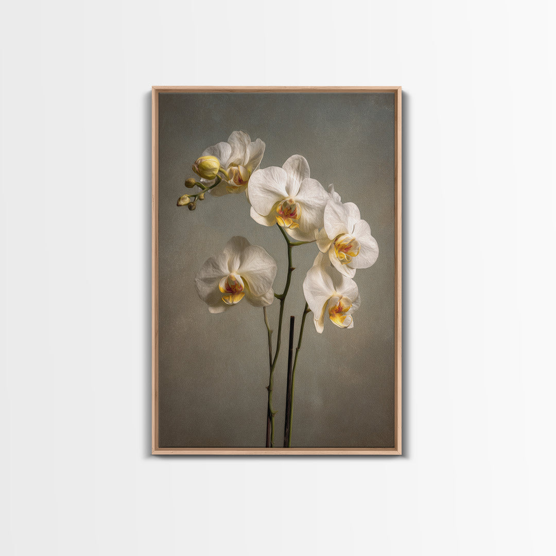 White Orchids Against Warm Gray Background Canvas Print, Master Bedroom, Farmhouse Wall Art, Bedroom Decor, Fine Art, Sanctuary, MAS-2x3-65