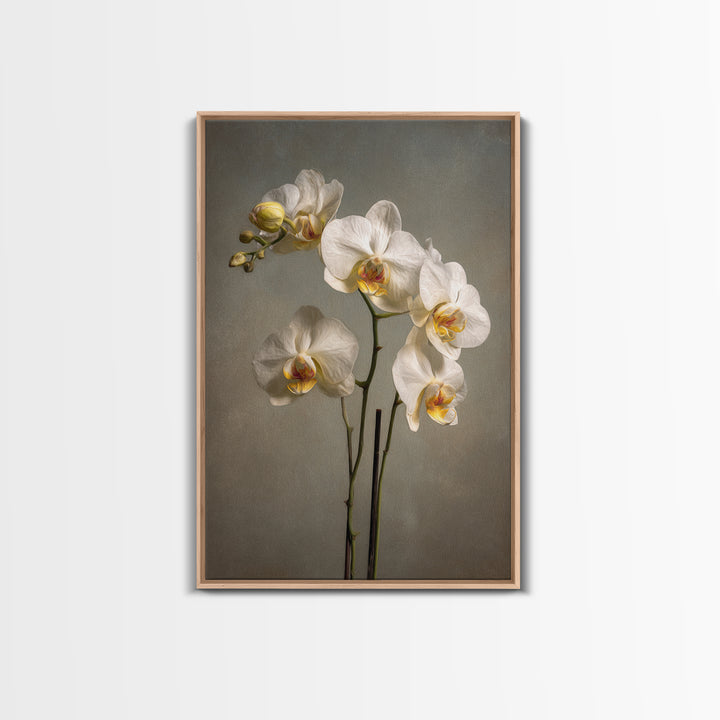 White Orchids Against Warm Gray Background Canvas Print, Master Bedroom, Farmhouse Wall Art, Bedroom Decor, Fine Art, Sanctuary, MAS-2x3-65