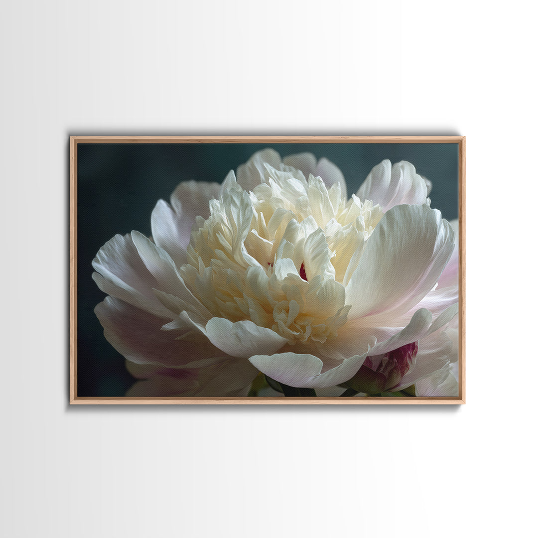 Romantic Neutral Peony Closeup Canvas Print, Master Bedroom, Wall Art Bedroom, Bedroom Decor, Sanctuary, Statement Artwork, MAS-3x2-30