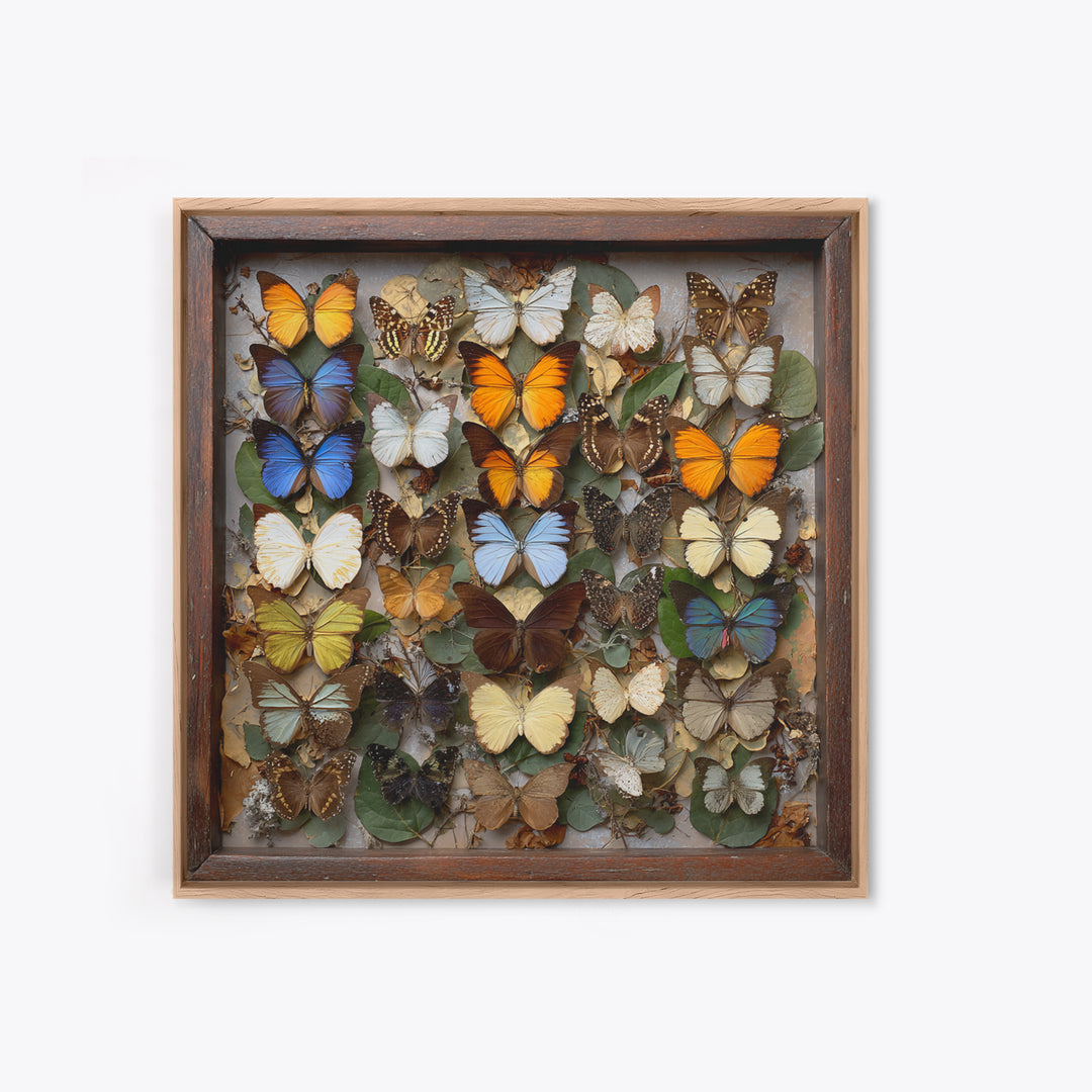 Framed Butterfly Collection Framed Canvas Print, Maximalist Art, Moody Wall Art, Living Room Decor, Fine Art, Maximal, MAX-1x1-71