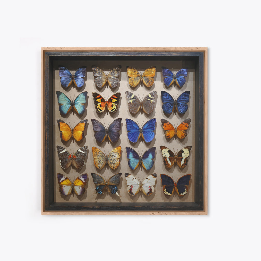 Framed Butterfly Collection Canvas Print, Maximalist Art, Fine Art Print, Living Room Decor, Fine Art, Maximal, Digital Prints, MAX-1x1-95
