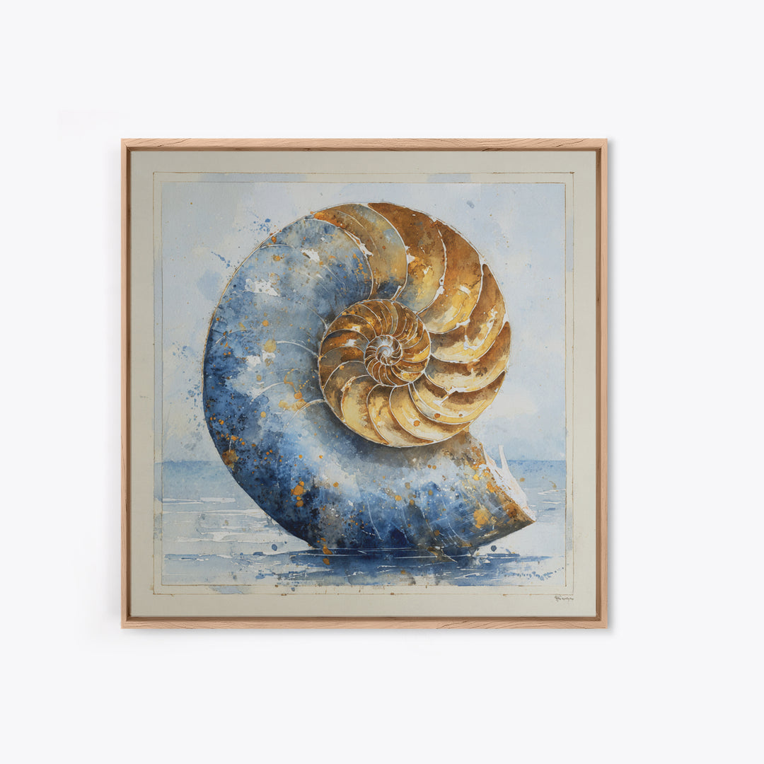 Nautilus Shell Study Canvas Print, Marine Life Art, Beach House Decor, Living Room Decor, Fine Art, Marine, Tropical Wall Art, MLA-1x1-35