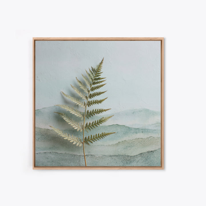 Minimal Green Fern Specimen Framed Canvas Print, Medical Office Art, Teal Wall Art, Office Decor, Fine Art, Calm, Anatomy Art, MOA-1x1-56