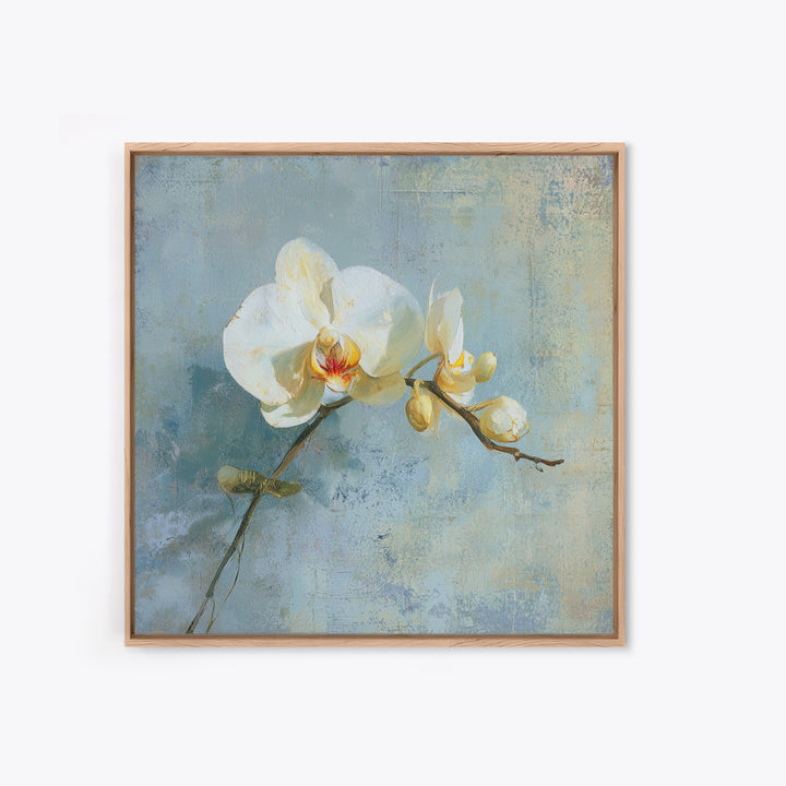 White Orchid on Gray Stone Surface Framed Canvas Print, Medical Office Art, Medical Wall Art, Office Decor, Fine Art, Calm, MOA-1x1-6