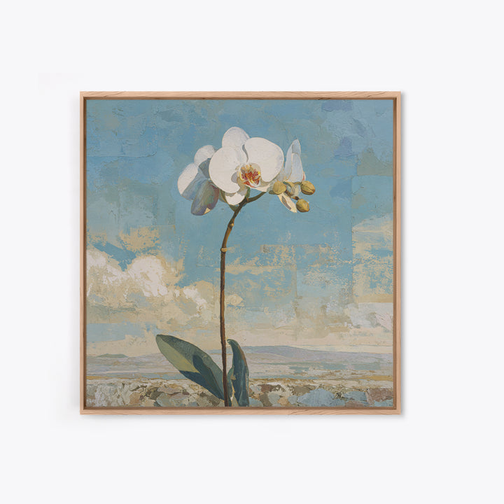 White Orchid on Gray Stone Surface Framed Canvas Print, Medical Office Art, Gallery Decor, Office Decor, Fine Art, Calm, MOA-1x1-78