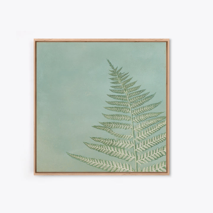 Minimal Green Fern Specimen Framed Canvas Print, Medical Office Art, Modern Decor, Office Decor, Fine Art, Calm, Home Decor, MOA-1x1-80