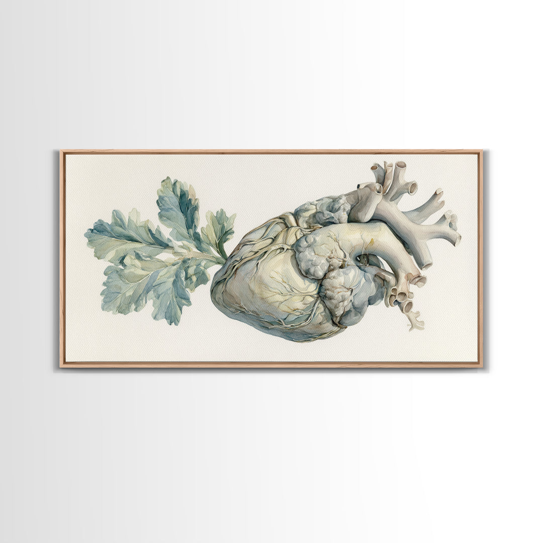 Anatomical Heart Rendered as Tasteful Botanical Art Canvas Print, Medical Office Art, Minimalist Art, Office Decor, Calm, MOA-2x1-81