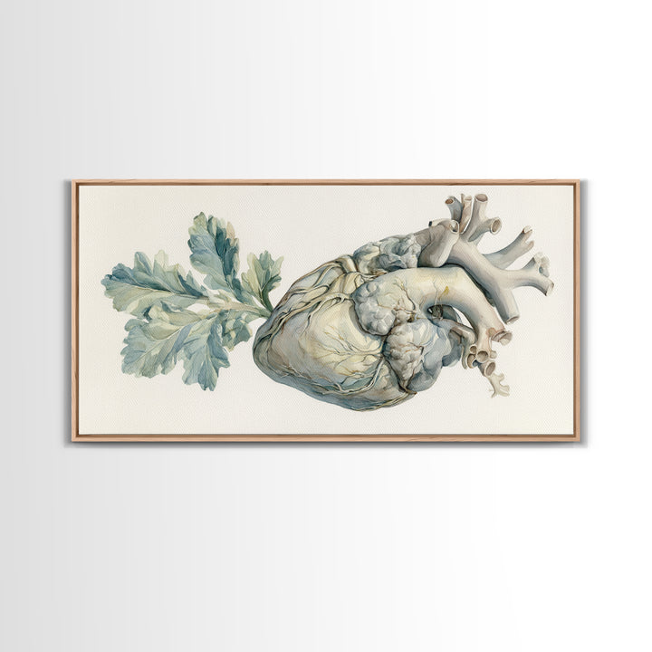 Anatomical Heart Rendered as Tasteful Botanical Art Canvas Print, Medical Office Art, Minimalist Art, Office Decor, Calm, MOA-2x1-81