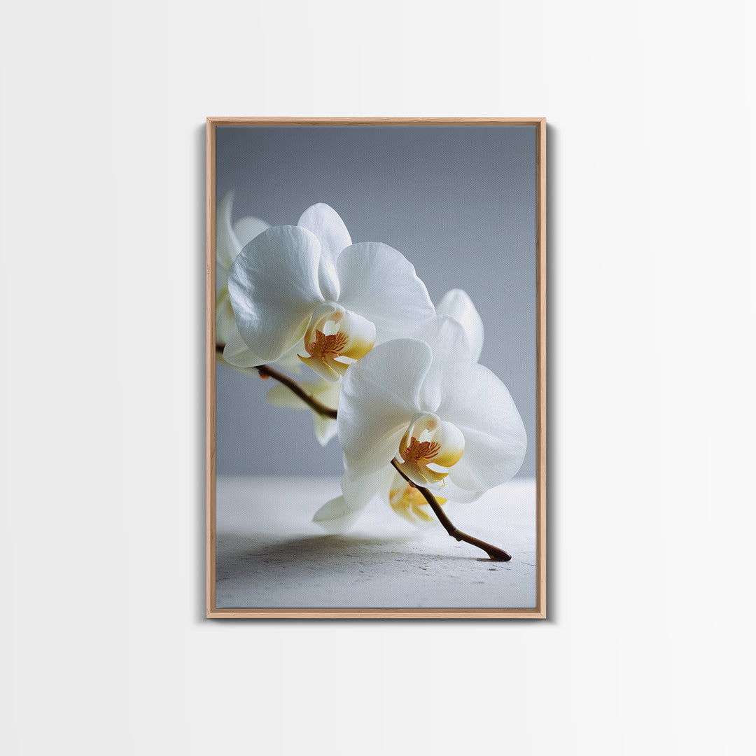 White Orchid on Gray Stone Surface Canvas Print, Medical Office Art, Art Print, Office Decor, Oil Painting, Calm, Printable Art, MOA-2x3-14
