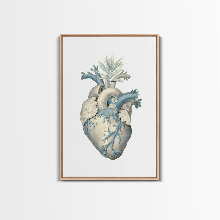 Anatomical Heart Rendered as Tasteful Botanical Art Canvas Print, Medical Office Art, Dental Office Decor, Office Decor, Calm, MOA-2x3-93