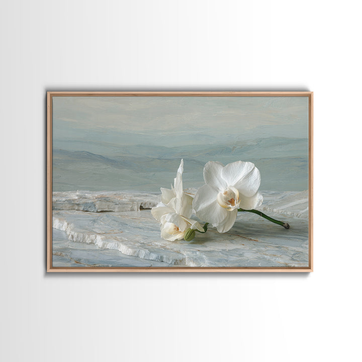 White Orchid on Gray Stone Surface Framed Canvas Print, Medical Office Art, Animal Art, Office Decor, Fine Art, Calm, MOA-3x2-10