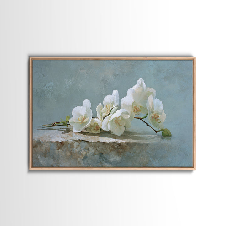 White Orchid on Gray Stone Surface Canvas Print, Medical Office Art, Brain Poster, Office Decor, Fine Art, Calm, Medical School, MOA-3x2-34