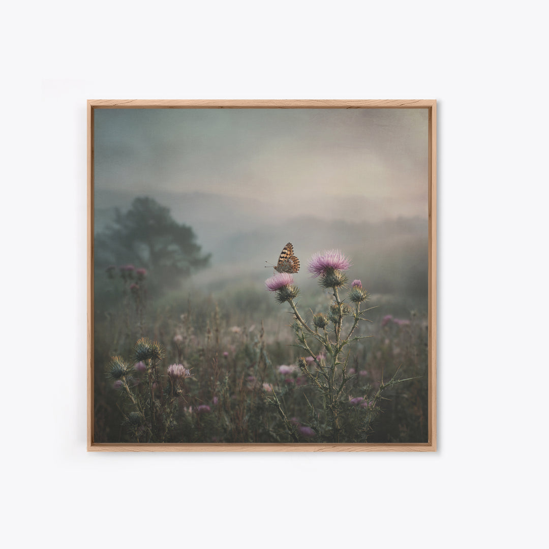 Butterfly Resting on a Blooming Thistle Framed Canvas Print, Nature Art, Mountain Art, Living Room Decor, Watercolor Art, NAT-1x1-100
