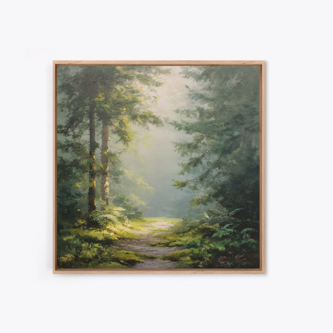 Sunlit Forest Path Canvas Print, Nature Art, Modern Decor, Living Room Decor, Fine Art, Nature, Home Decor, Poster, Wall Decor, NAT-1x1-25