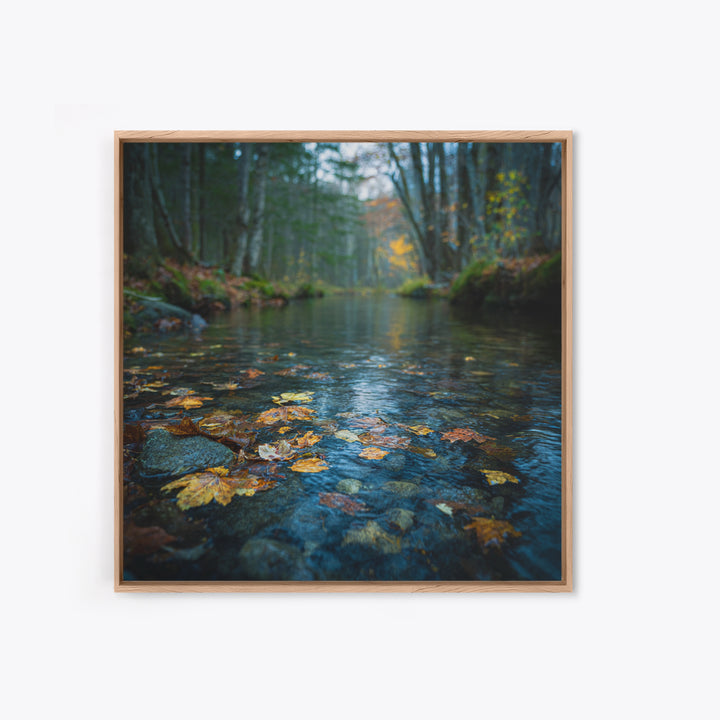 Autumn Leaves Floating on Quiet Stream Canvas Print, Nature Art, Digital Download Art, Living Room Decor, Oil Painting, Nature, NAT-1x1-30