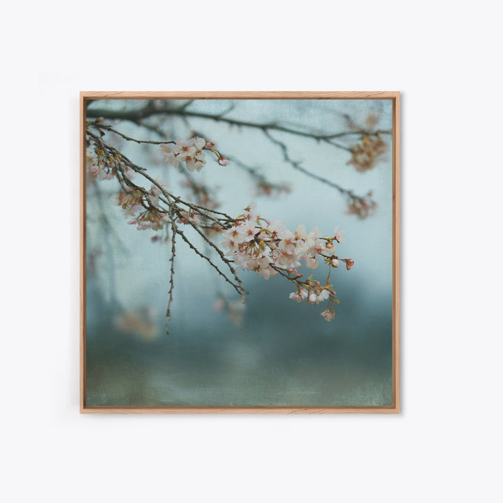Spring Cherry Blossoms Framed Canvas Print, Nature Art, Art Print, Living Room Decor, Fine Art, Nature, Printable Wall Art, NAT-1x1-40