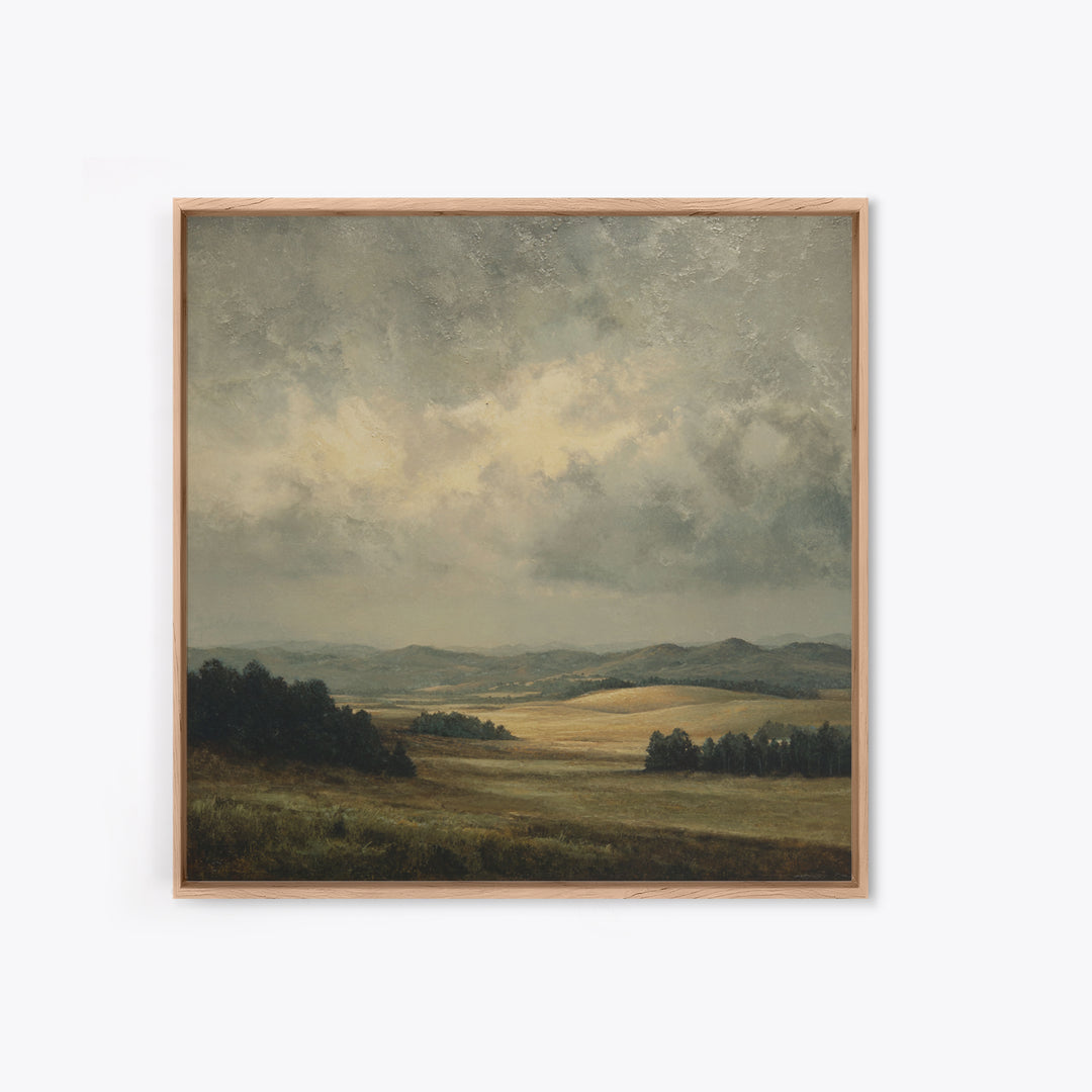 Storm Clouds over a Rolling Prairie Framed Canvas Print, Nature Art, Bird Wall Art, Living Room Decor, Fine Art, Nature, NAT-1x1-62