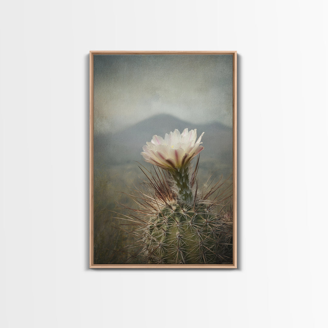Desert Cactus Blooming After Rain Framed Canvas Print, Nature Art, Living Room Decor, Oil Painting, Nature, Ocean Art, NAT-2x3-28