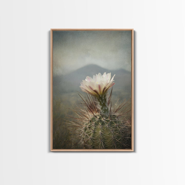 Desert Cactus Blooming After Rain Framed Canvas Print, Nature Art, Living Room Decor, Oil Painting, Nature, Ocean Art, NAT-2x3-28