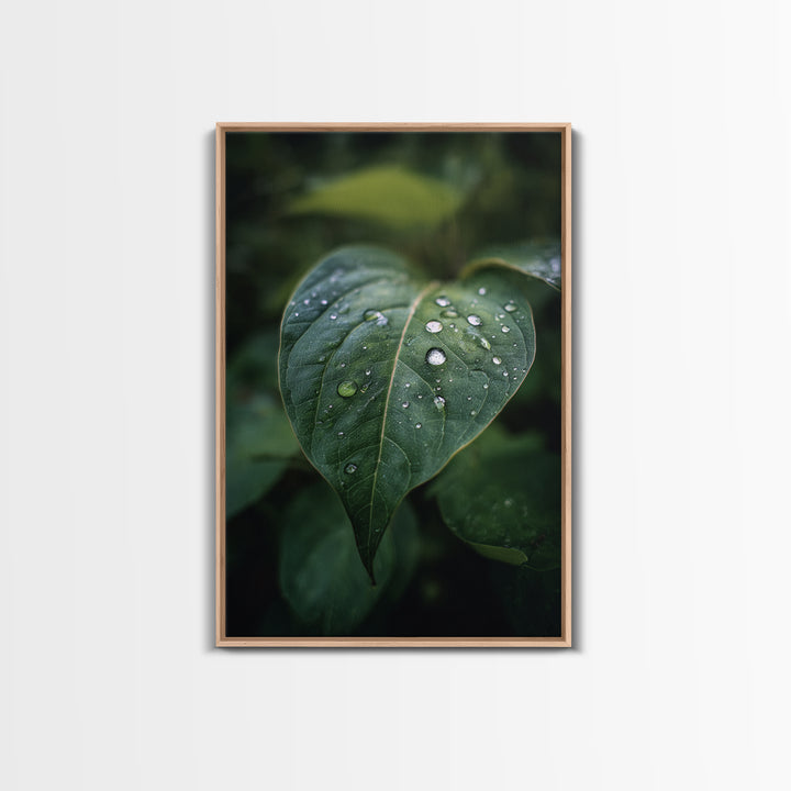 Rain Drops on a Large Green Leaf Canvas Print, Nature Art, Floral, Living Room Decor, Oil Painting, Nature, Moss Art, NAT-2x3-65