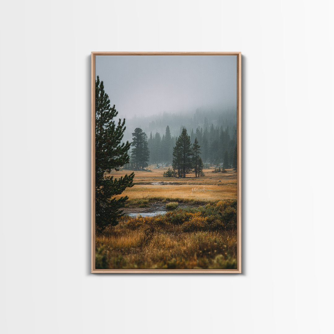 Moody Pine Forest Framed Canvas Print, Nature Art, Framed Art, Living Room Decor, Nature, Botanical Art, Digital Download Art, NAT-2x3-73