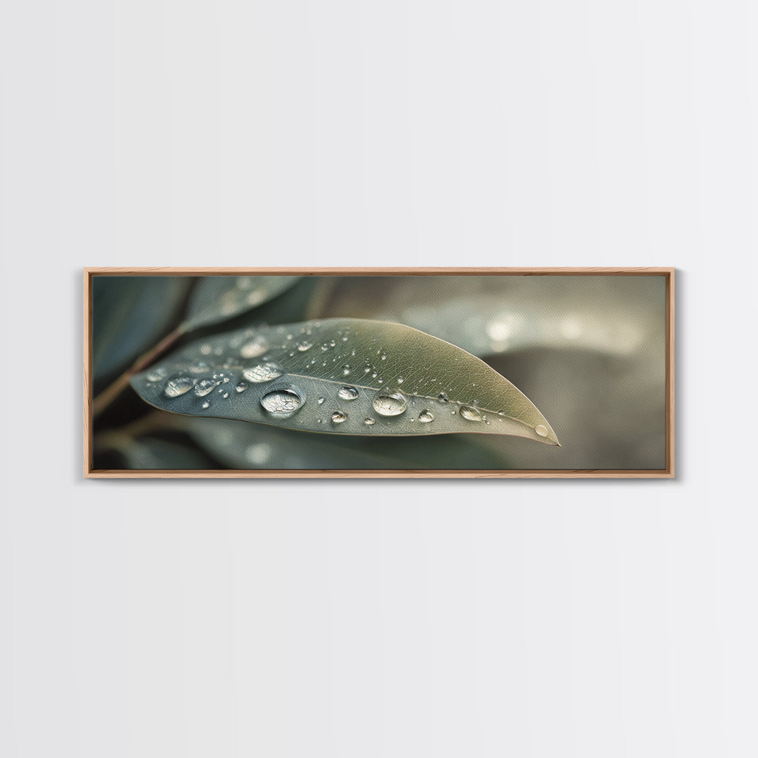 Rain Drops on a Large Green Leaf Canvas Print, Nature Art, Living Room Wall Art, Living Room Decor, Fine Art, Nature, NAT-3x1-25
