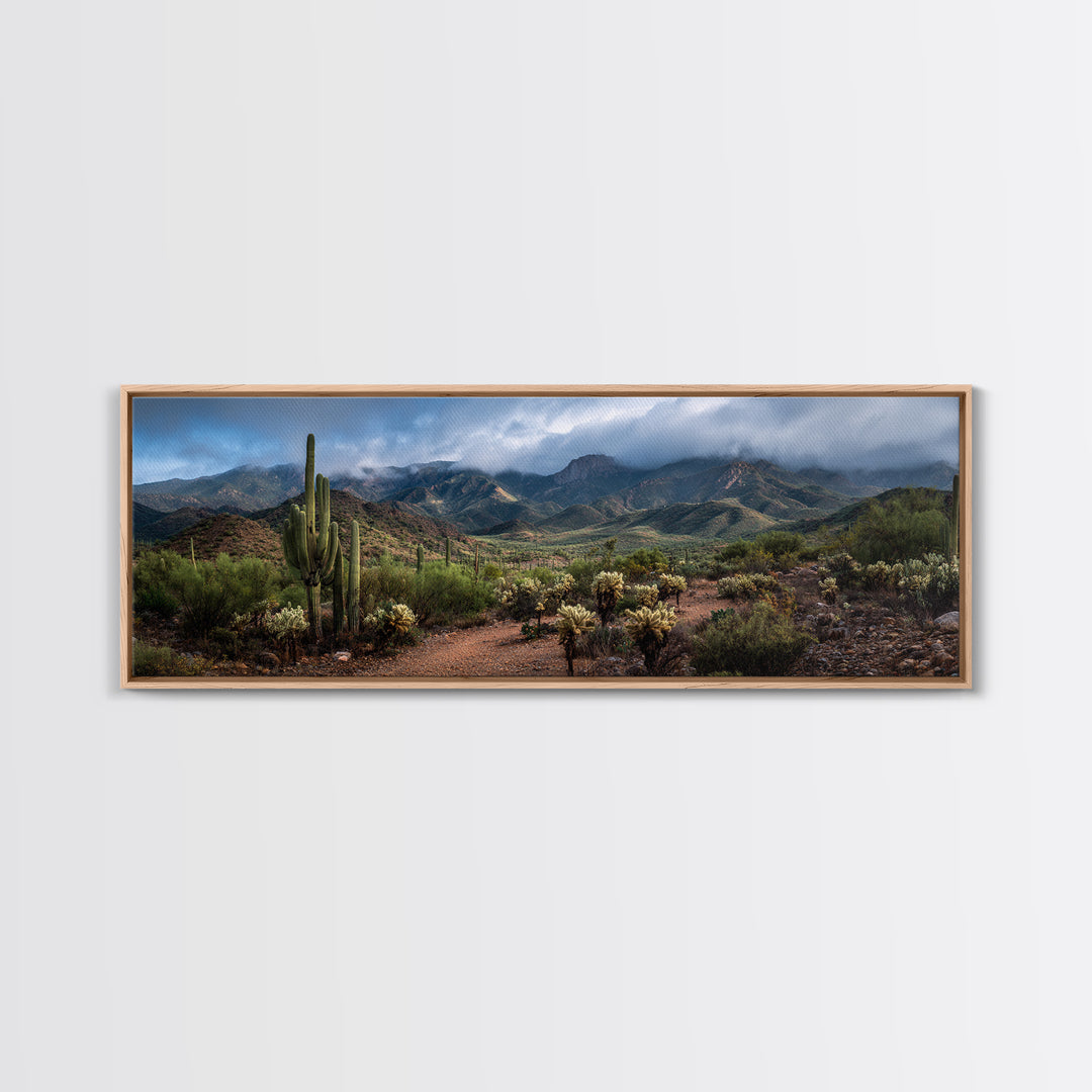 Desert Cactus Blooming After Rain Canvas Print, Nature Art, Mountain Art, Living Room Decor, Fine Art, Nature, Minimalist Decor, NAT-3x1-36