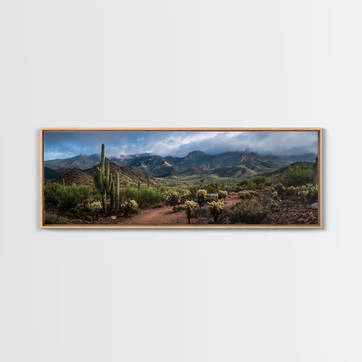 Desert Cactus Blooming After Rain Canvas Print, Nature Art, Mountain Art, Living Room Decor, Fine Art, Nature, Minimalist Decor, NAT-3x1-36