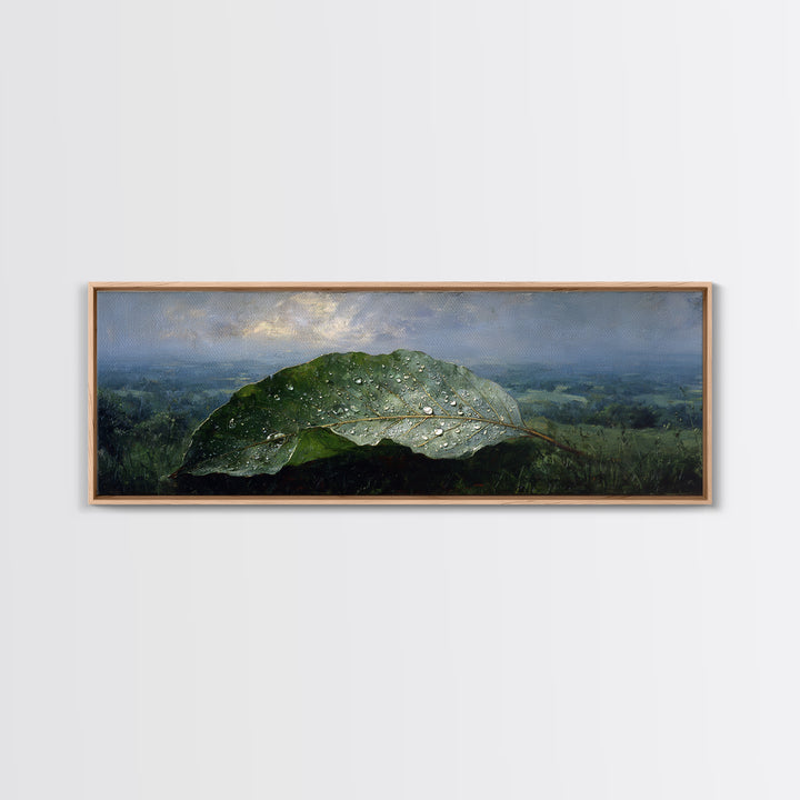 Rain Drops on a Large Green Leaf Canvas Print, Nature Art, Living Room Wall Art, Living Room Decor, Fine Art, Nature, NAT-3x1-49