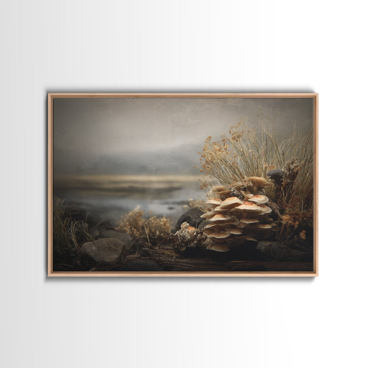 Mushroom Cluster in Enchanted Woodland Canvas Print, Nature Art, Mountain Wall Art, Living Room Decor, Fine Art, Nature, NAT-3x2-11