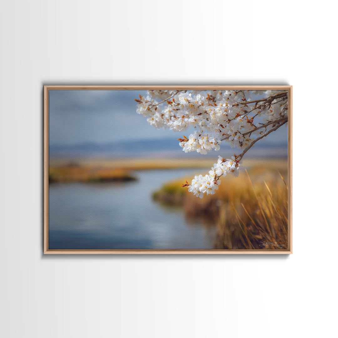 Spring Cherry Blossoms Framed Canvas Print, Nature Art, Abstract Wall Art, Living Room Decor, Fine Art, Nature, Bird Wall Art, NAT-3x2-20