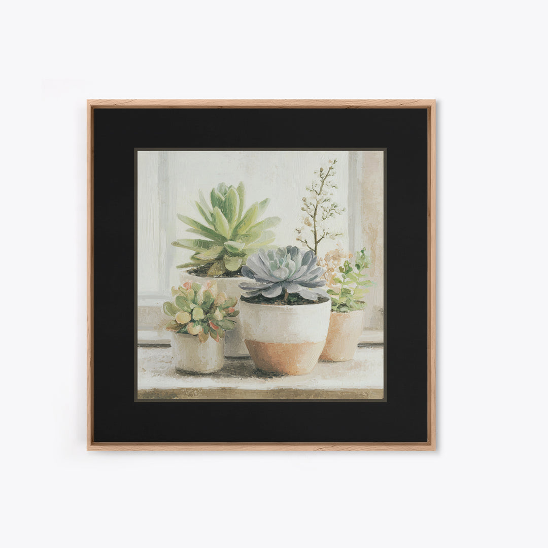 Succulent Collection in Ceramic Planters Framed Canvas Print, Patio Art, Mixed Media Art, Patio Decor, Fine Art, Outdoor, PAT-1x1-21
