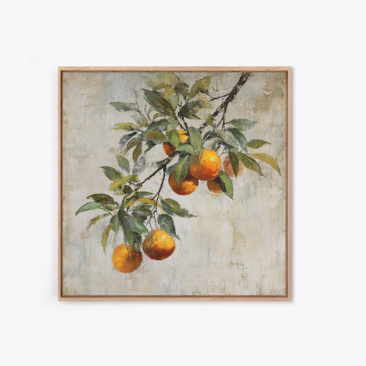 Orange Tree Branch Canvas Print, Patio Art, Coastal Wall Decor, Patio Decor, Fine Art, Outdoor, Gallery Decor, Neutral Decor, PAT-1x1-22