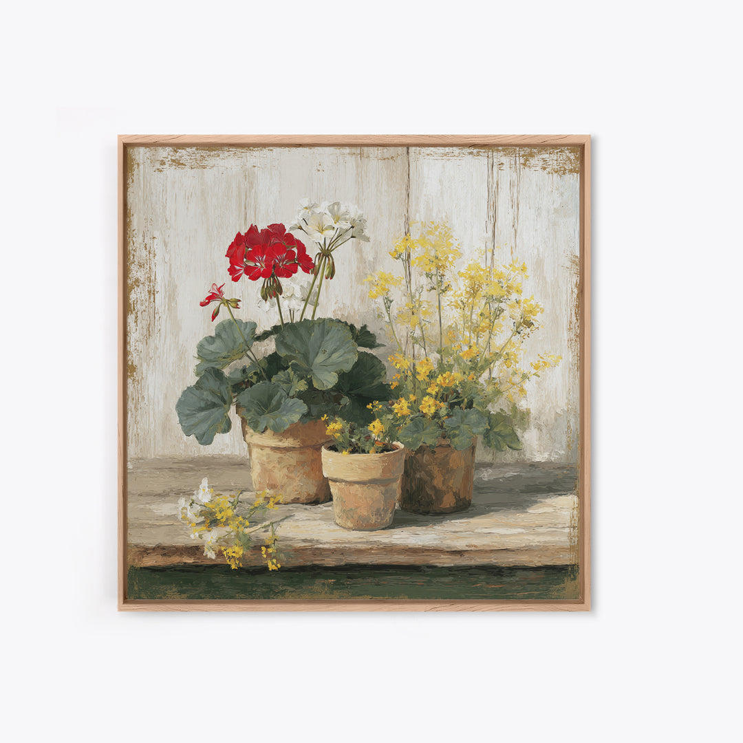 Potted Geraniums in Rustic Clay Pots Framed Canvas Print, Patio Art, Family Wall Art, Patio Decor, Fine Art, Outdoor, PAT-1x1-38