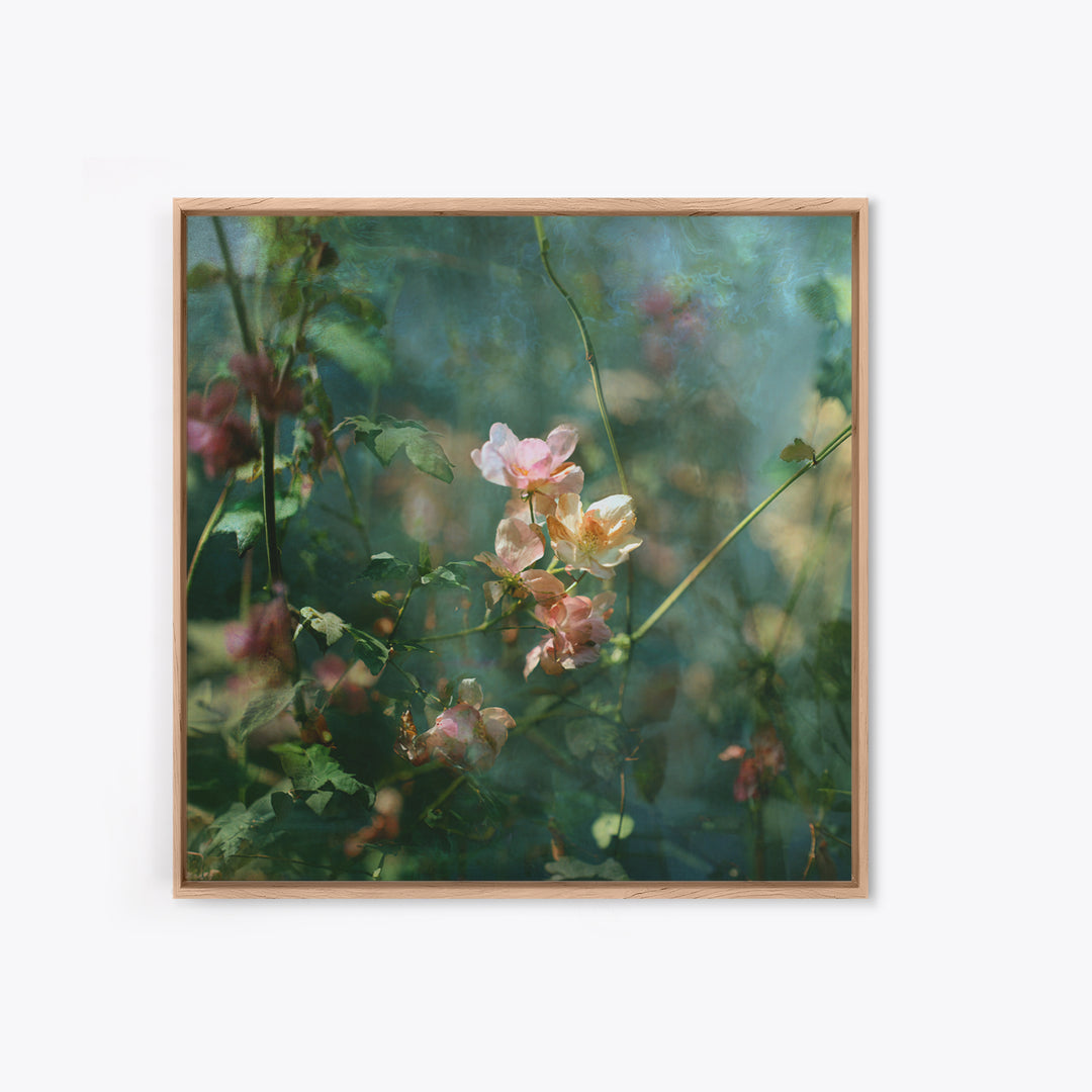 Sunset over Garden Flowers and Vines Framed Canvas Print, Patio Art, Fine Art Print, Patio Decor, Fine Art, Outdoor, Wall Decor, PAT-1x1-79