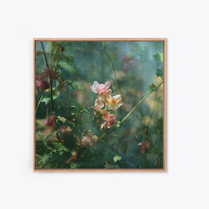 Sunset over Garden Flowers and Vines Framed Canvas Print, Patio Art, Fine Art Print, Patio Decor, Fine Art, Outdoor, Wall Decor, PAT-1x1-79