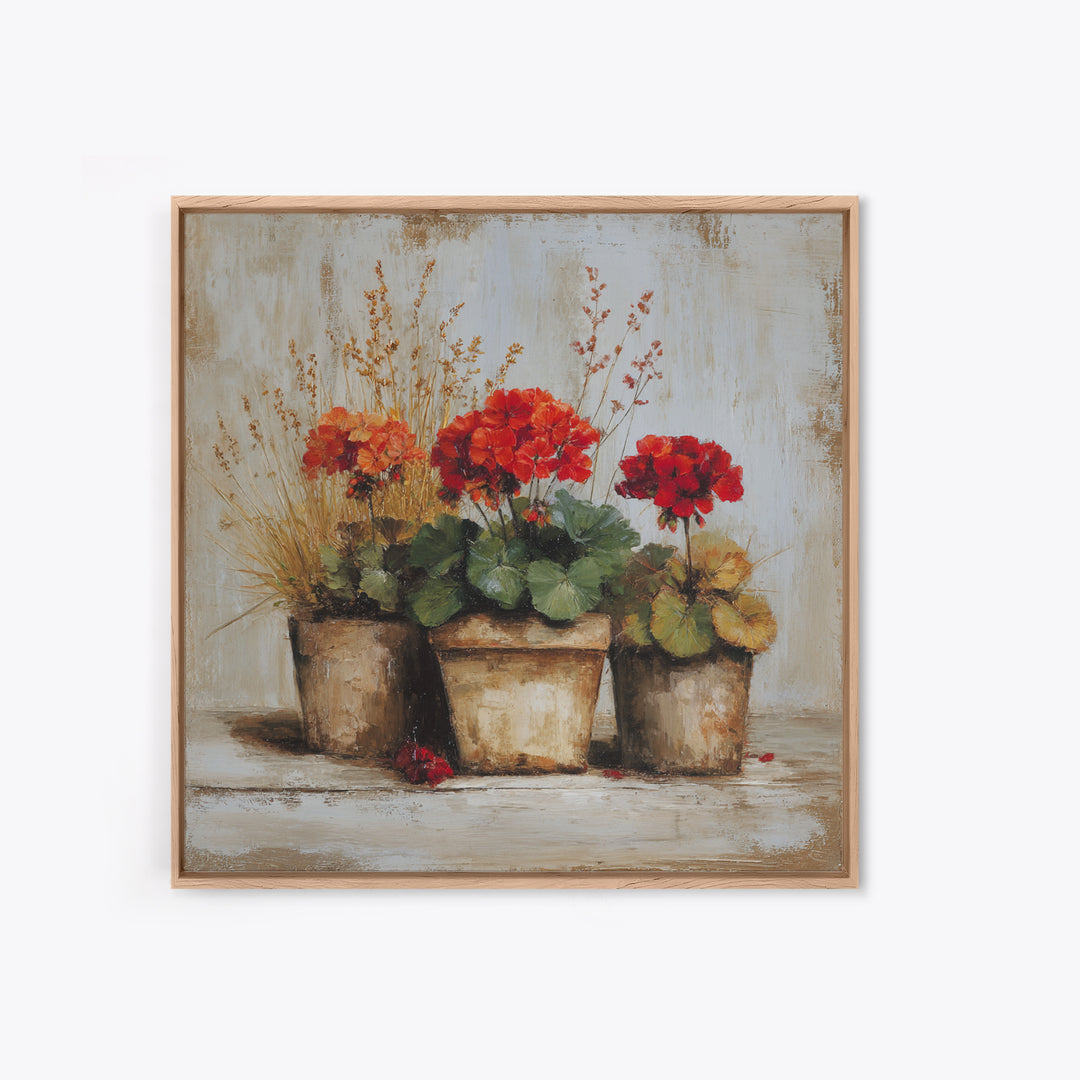 Potted Geraniums in Rustic Clay Pots Canvas Print, Patio Art, Modern Decor, Patio Decor, Fine Art, Outdoor, Home Decor, PAT-1x1-86