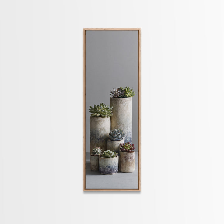 Succulent Collection in Ceramic Planters Canvas Print, Patio Art, Outdoor Wall Decor, Patio Decor, Fine Art, Outdoor, PAT-1x3-81