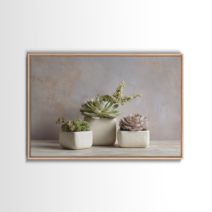 Succulent Collection in Ceramic Planters Framed Canvas Print, Patio Art, Patio Decor, Abstract Art, Outdoor, Gallery Decor, PAT-3x2-25