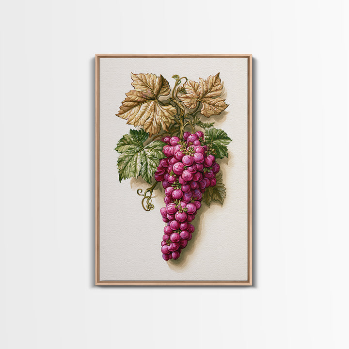 Wine Grapevine Botanical Study Canvas Print, Restaurant Art, Canvas, Restaurant Decor, Fine Art, Bistro, Living Room Decor, RES-2x3-23